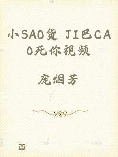 小SAO货 JI巴CAO死你视频